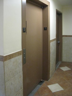 tall photo