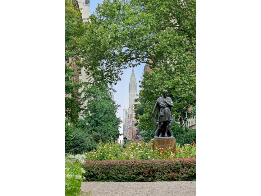 wide photo
