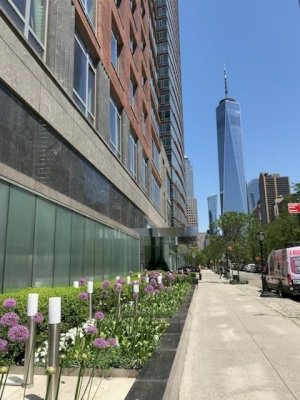 tall photo