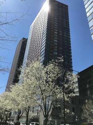 tall photo