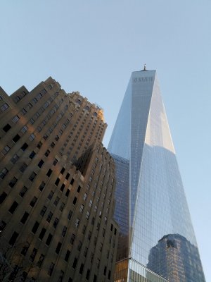 tall photo