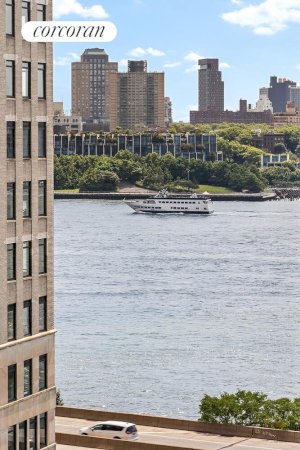 tall photo