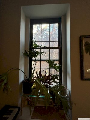 tall photo