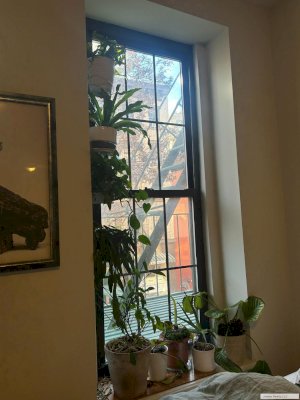 tall photo