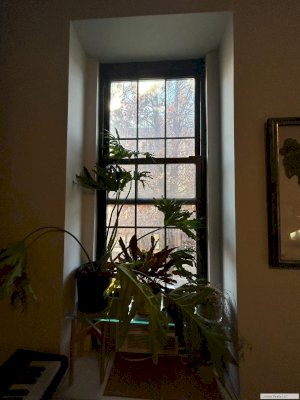 tall photo