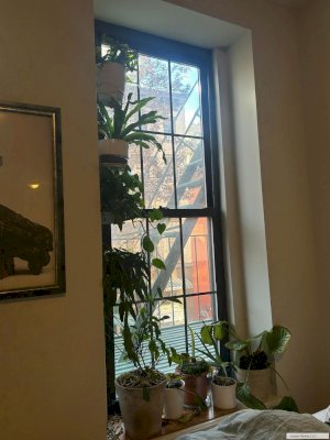 tall photo