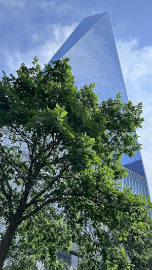 tall photo