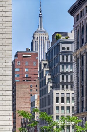 tall photo
