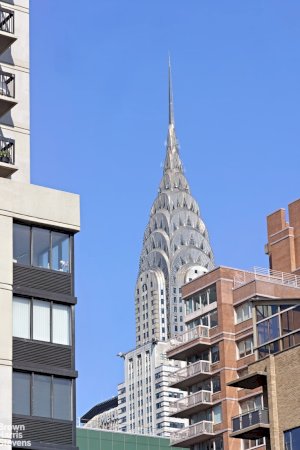 tall photo