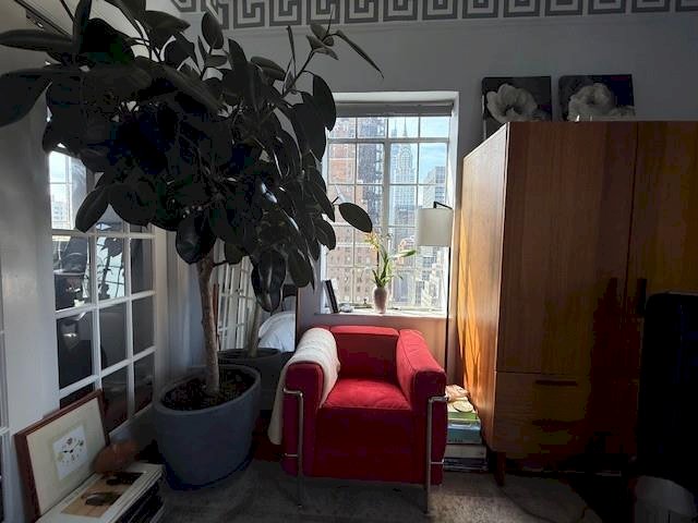 wide photo
