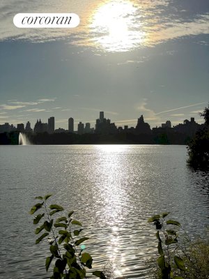 tall photo