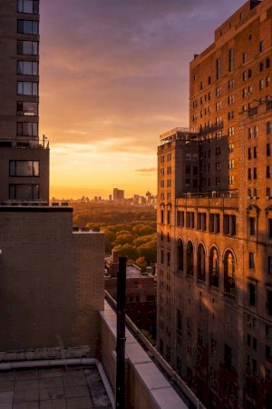 tall photo
