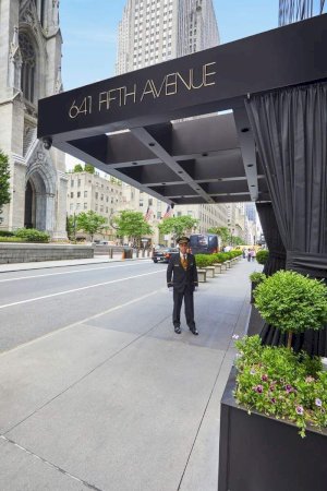 tall photo