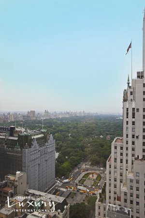 tall photo