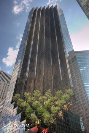 tall photo