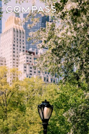 tall photo