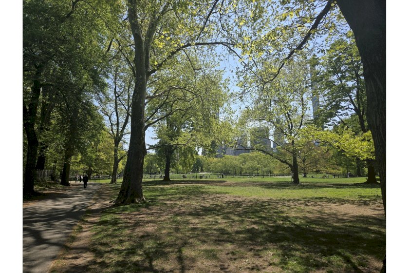 wide photo