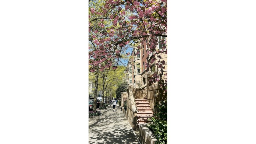 wide photo