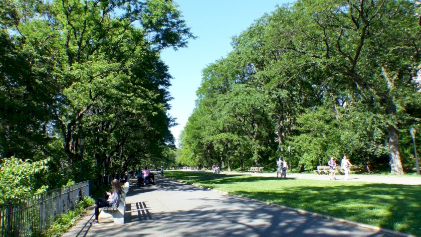 wide photo