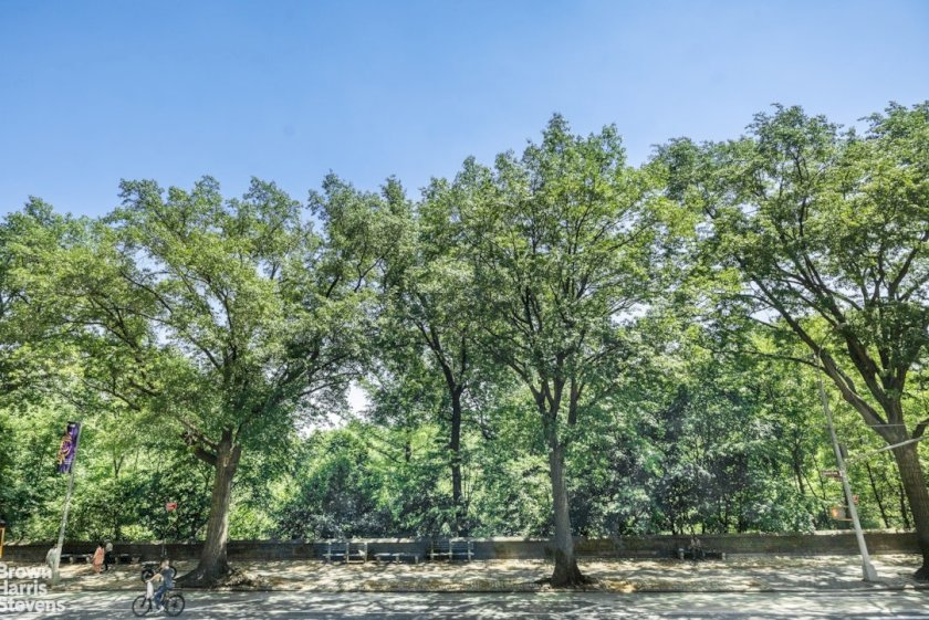 wide photo