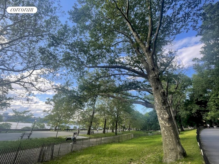 wide photo