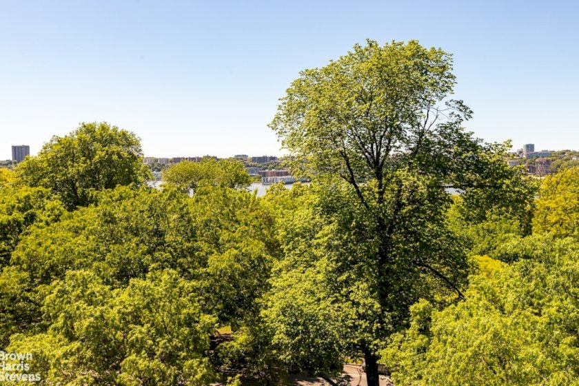 wide photo
