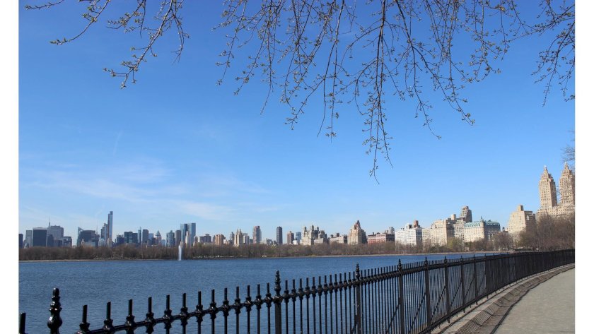 wide photo
