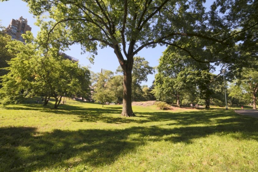 wide photo