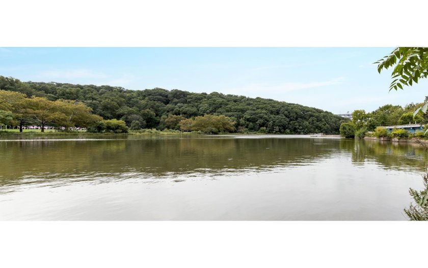 wide photo