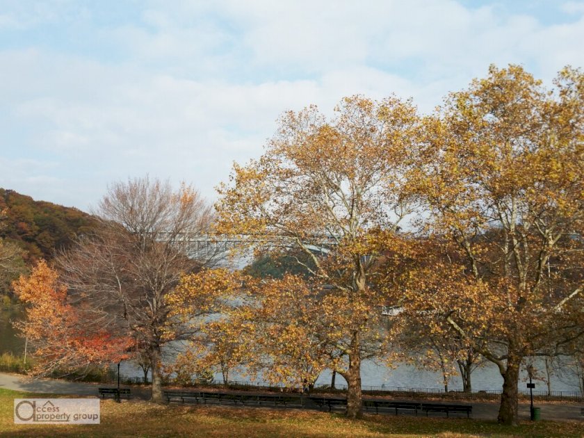 wide photo