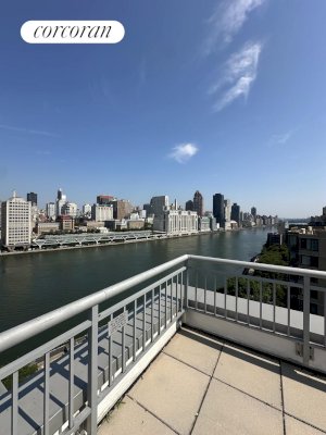 tall photo