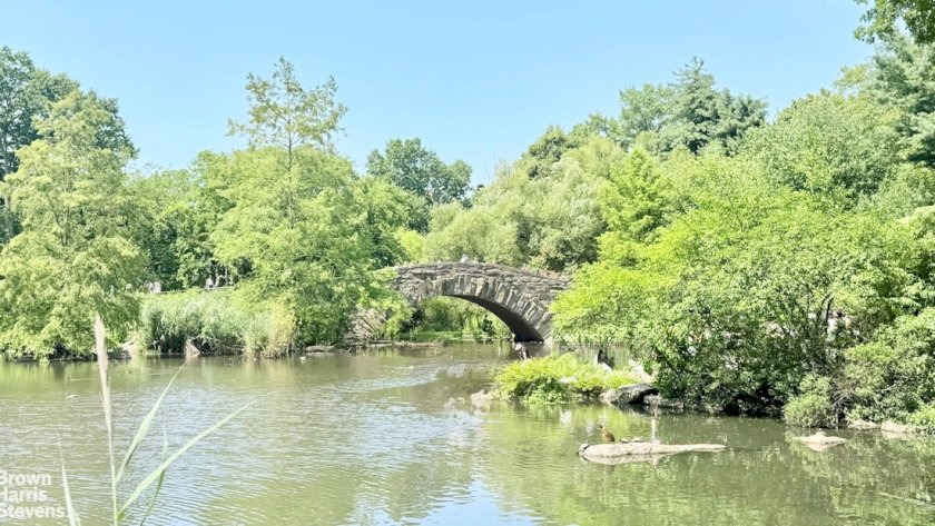 wide photo