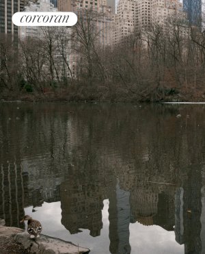 tall photo