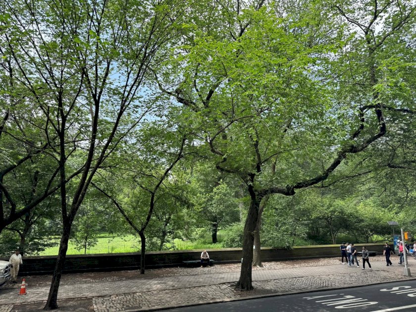 wide photo