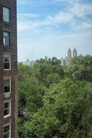 tall photo